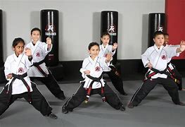 Image result for Mixed Martial Arts Schools