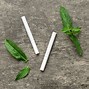 Image result for Herbal Cigarettes