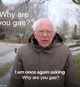 Image result for Why Are You Gae Meme