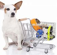 Image result for pet-supplies