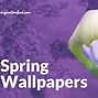 Image result for Cute Spring Backgrounds for Desktop