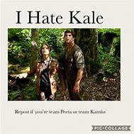 Image result for Katniss Looking for Petta Meme
