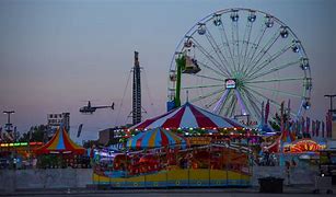 Image result for Ohio State Fair Carousel