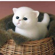 Image result for Cutest Stuffed Animals in the World
