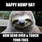 Image result for Nothing Spoils Hump Day Meme