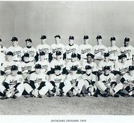 Image result for Minor League Baseball in the 1960s