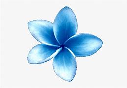 Image result for Exotic Flowers Clip Art