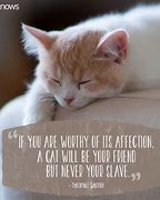 Image result for Cat Lover Quotes Funny