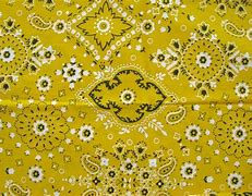 Image result for Bandana Fabric by the Yard