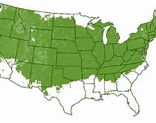 Image result for Apple Trees Growing Zones