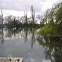 Image result for Little Easton Fishing Lake