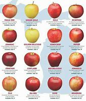 Image result for Apple Varieties List
