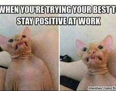 Image result for Staying Positive at Work Funny