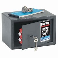 Image result for Hand Activated Safe