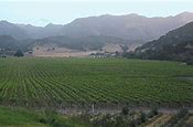 Image result for Rancho Arroyo Grande Mourvedre