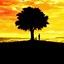 Image result for Silhouette Wallpaper for iPhone