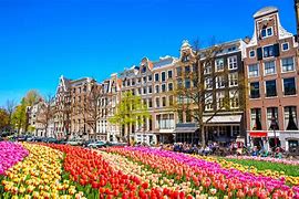 Image result for Amsterdam Summer