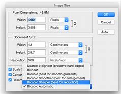 Image result for Shrink Image Size People