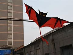 Image result for Chinese Bat Kite