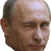 Image result for Putin Bear PNG
