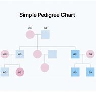 Image result for Pedigree Chart