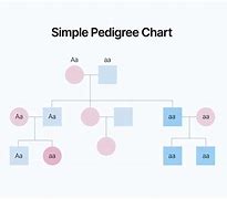 Image result for Pedigree Analysis Chart