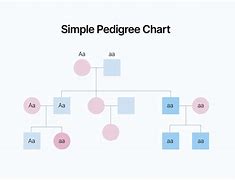 Image result for Sample Pedigree Chart