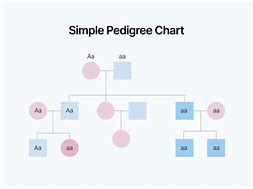 Image result for Pedigree Analysis Example