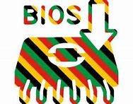 Image result for Bios Chip Logo