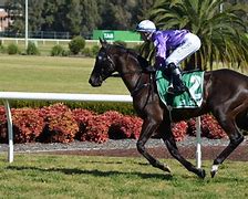 Image result for Horse Racing Android Wallpaper