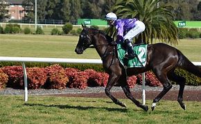 Image result for Horse Race Wallpaper HD