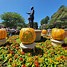 Image result for Disney Halloween Pumpkin