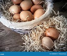 Image result for Organic Farm Eggs