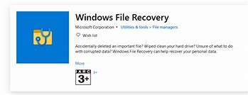 Image result for Recent Excel File Recovery
