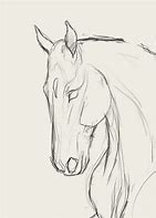 Image result for Horse Front View Drawing