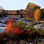 Image result for Maine Fall Trees