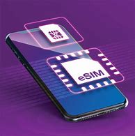 Image result for Esim Tray