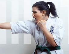 Image result for Basic Karate Punches