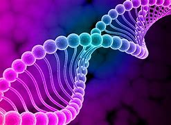 Image result for Cool Science DNA