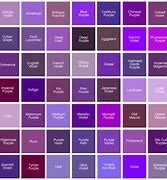 Image result for iPhone 15 All Colours
