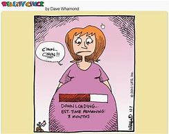 Image result for Twin Pregnancy Memes