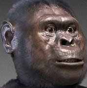 Image result for Earliest Hominids