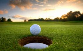 Image result for Golf Club