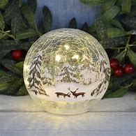 Image result for Globe Christmas Lights