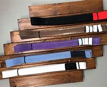 Image result for Belts in BJJ