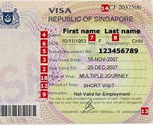 Image result for Singapore Visitor Visa