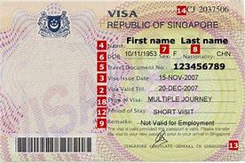 Image result for Singapore Visa Emage