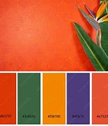 Image result for Tropical Color Palette Hex