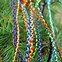 Image result for Your Name Braided Cord
