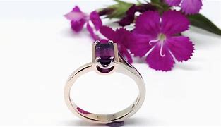 Image result for White Rose Gold